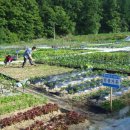 일석농장 이미지