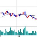 [우리투자증권] 지금부터 향후 5일동안 주가 예측입니다. 이미지