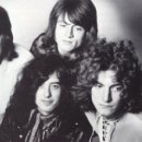 HEAVEN DOG 이미지