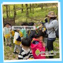 참샘유치원 이미지