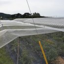 지한농장 이미지