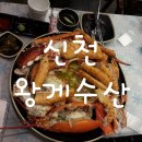 홈플러스 시흥점 수족관 | 왕게수산 신천점 솔직후기