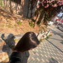 한림가락유치원 | 제목을 지어주세요