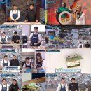 마요꼬마김밥 - 서구 신석로 79 | 마요꼬마김밥