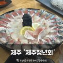 제주청년회 | [제주] 구좌횟집 고등어회 맛집 '제주청년회' 내돈내산 찐 후기