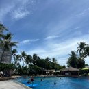 하드락클럽 | 하드락 파타야 수영장 최고 카바나 사용후기