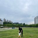 [의정부] 경기평화광장 숲속놀이터 후기 (+주차, 이용팁)