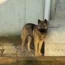 관동농장 이미지