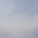 바다정원 이미지