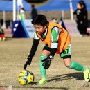 청양공설운동장 이미지