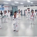 한얼 태권도장 이미지