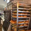 빵 굽는 시간 (오전) | 성남 모란 카페 <버터브루> 직접 굽는 소금빵 휘낭시에 맛집