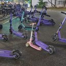 무럭무럭피트니스 사파본점 | 내가 i가 된 이유에 관하여