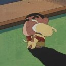 산에나무 이미지