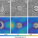 한국유체기술(주) 이미지