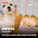 와락펫푸드 이미지