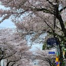 효돈동-4 이미지