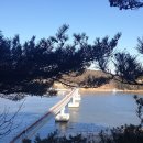 안양천 공중화장실(광명대교) | 인천 조용한섬 소무의도 힐링산책 바다풍경 당일치기여행