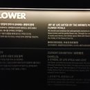 여수음향 이미지