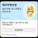 지연식품 | 카카오페이손해보험 여행자보험 귀국 항공기지연 비행기지연 보상금 환급 수령후기