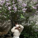 라일락모텔 이미지