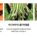 인셀덤-고운 네이버블로그