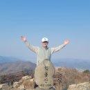억불산 정상에서 내라다본 우드랜드 편백숲과 며느리바위