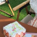 아산농장 | 서울 근교 아이랑 딸기 체험 농장 아산 도치팜 후기 예약 시간