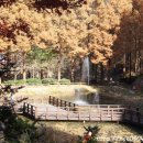 장태산휴양림 이미지