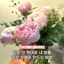꽃정기구독, 유스풀몰 생화택배 작약 12송이 후기! 안산꽃집 생화 꽃구독으로 준비하는 가정의달 선물...