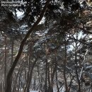 봉곡사 - 1669 | 봉곡사