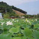 정원을 사랑한 정 茶山.