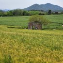 서나라농장 이미지