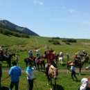 고성목장 이미지