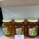 그집농장 이미지