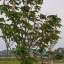 고창행복농장 이미지