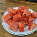 캠프이가리85 이미지