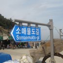 매물도펜션 이미지