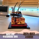 센트럴파이온 | 동탄두피관리 | 서헤어 두피생장술 3회 비포애프터 후기