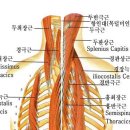 똑바로 누워 잘 때만 두통이 생기는 사람 이미지