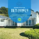 채플힐펜션 | 태안 가볼만한 독채 스파 풀빌라 펜션 추천 "채플힐펜션" 후기 (feat. 오션뷰 코코 객실. 입실,퇴실...