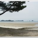 장삼포해수욕장 이미지