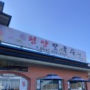 평양칼국수3호점 | 내돈내산 서충주 맛집 평양칼국수에서 &#34;보리밥&amp;떡만두국&#34;먹은후기
