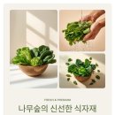 안녕하세요식자재