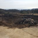 상효동-1 이미지