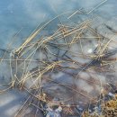 호텔 라벤더 제주 | 겨울 제주 가볼만한곳, 아이랑 다녀온 제주 에코랜드 테마파크 솔직 후기