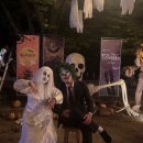 영월힐링숲펜션 이미지