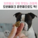 보보베이크