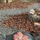 향림오토캠핑장 이미지