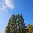 양평막국수 | 양평 막국수 맛집 천서리 막국수 솔직 후기